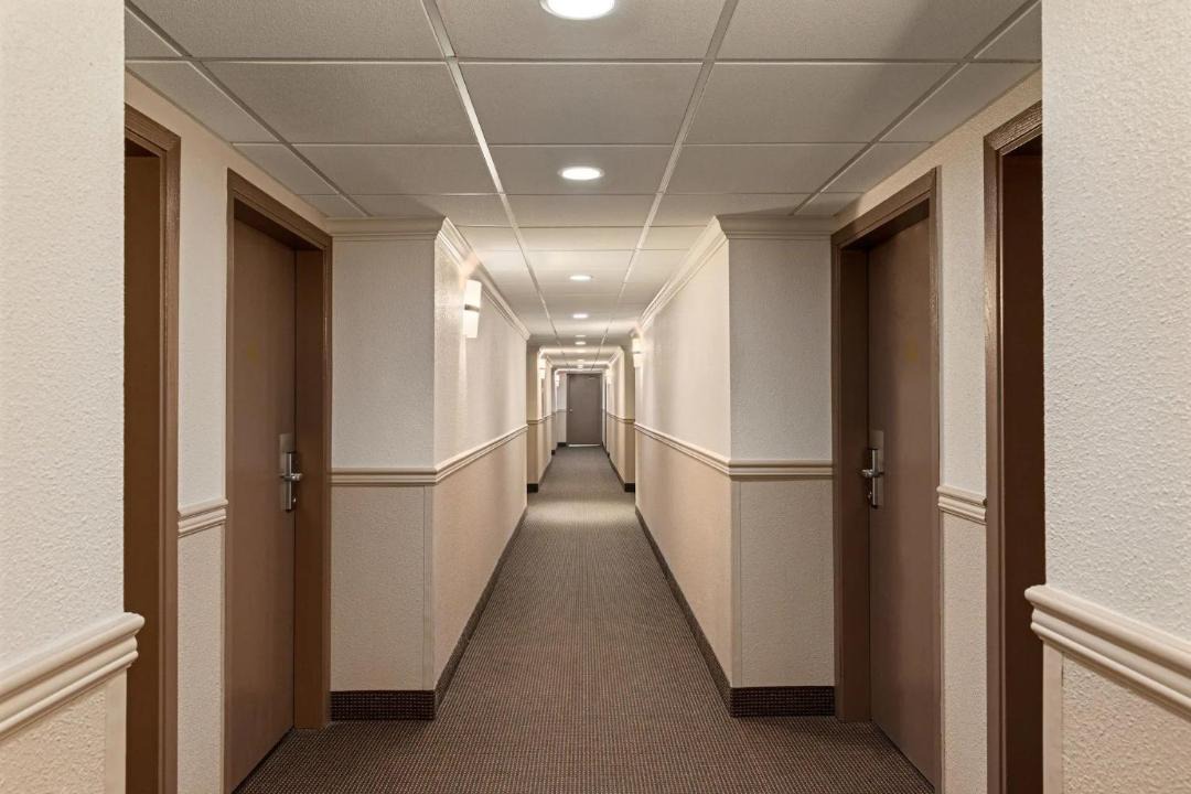 Photo of Others in Vernon