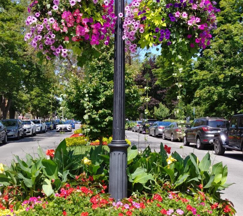 Photo of Others in Old Town Historic District