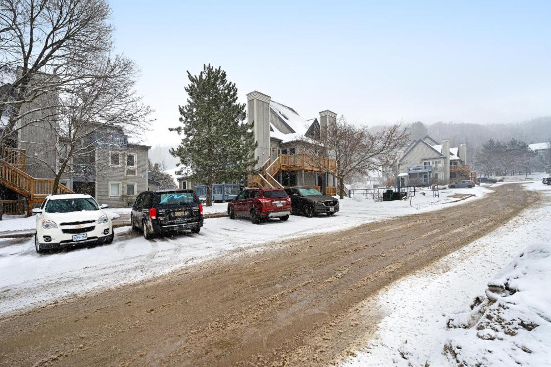 Photo of Others in Craigleith