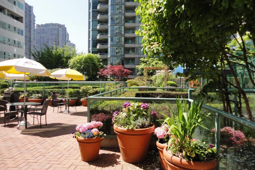 Photo of Others in Yaletown