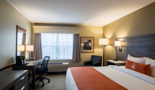 Standard Room, 1 King Bed, Non Smoking