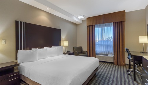Standard Room, 1 King Bed, Accessible, Non Smoking