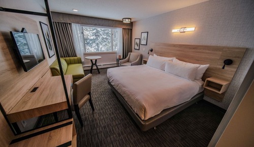 Deluxe King Guest Room - (Not Pet Friendly)