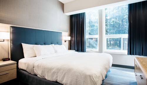 King Explorer Suite with Fireplace - (Not Pet Friendly)