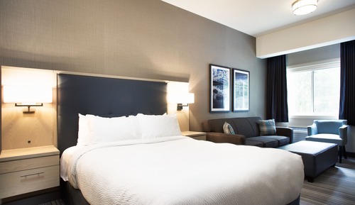 One Queen Guest Room With Sofa Bed - (Not Pet Friendly)