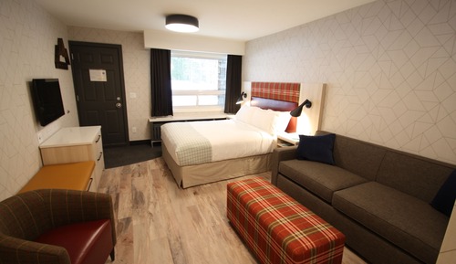 1 Queen Room Sofa Bed-(Dog Friendly)