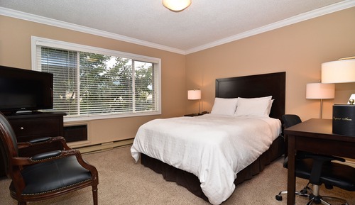 Executive Room, 1 Queen Bed