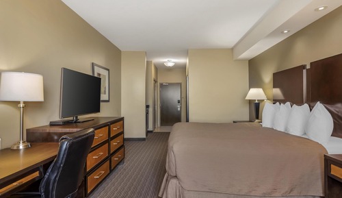 Standard Room, 1 King Bed, Non Smoking