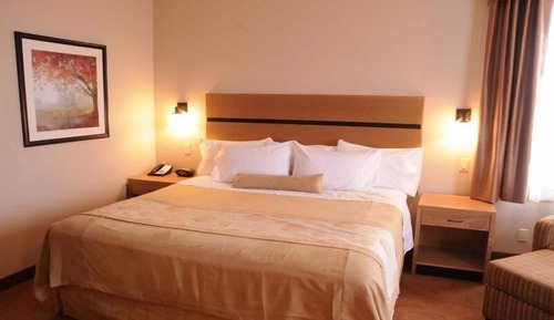 Standard Room, 1 King Bed, Non Smoking, Jetted Tub