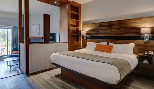 Suite, 1 King Bed with Sofa bed, Mountain View