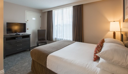 Signature Suite, 1 Queen Bed with Sofa bed