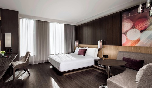 Room, 1 King Bed