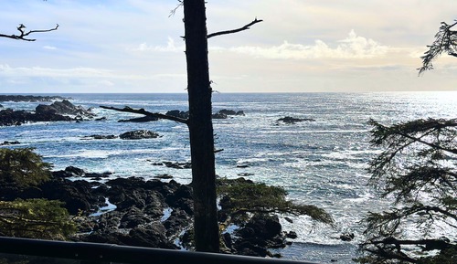 1 Bedroom Trail Ocean View Suite (short distance from main lodge)