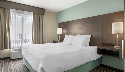 Suite, 1 King Bed, Non Smoking, Refrigerator & Microwave (with Sofabed)