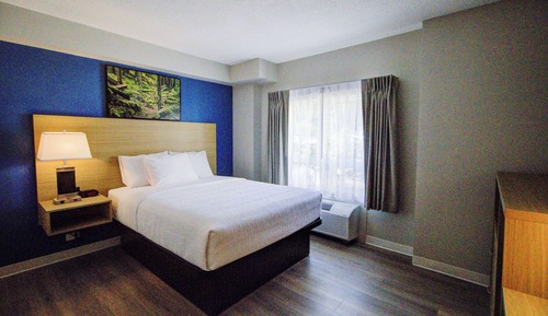 Room, 1 Queen Bed, Accessible, Non Smoking (Mobility, Roll-in Shower)