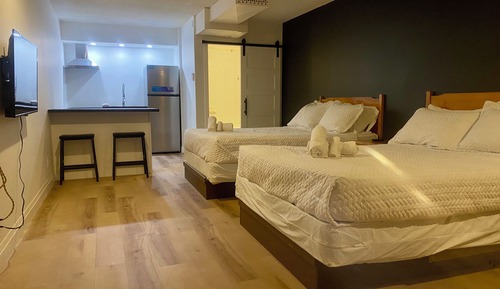 Superior Apartment, 2 Queen Beds, Kitchen