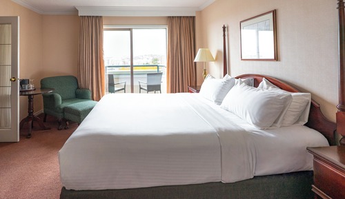 Suite, 1 King Bed with Sofa bed