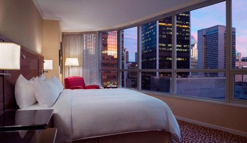Room, 1 King Bed