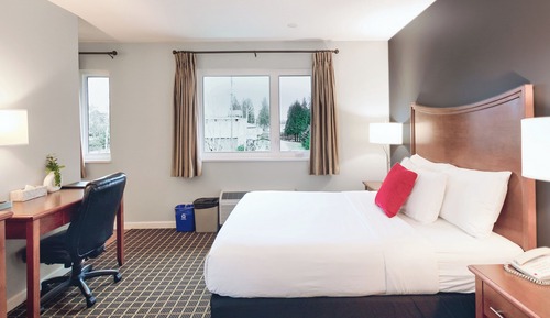 Standard Room, 1 Queen Bed
