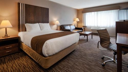 King Room - Pet-Friendly/Non-Smoking