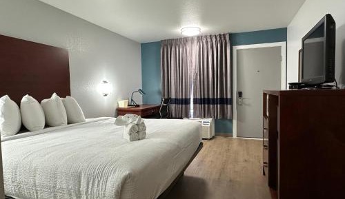 King Room with Walk-in Shower - Disability Access
