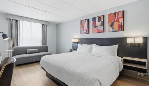 King Room - Non-Smoking/Pet-Friendly Room