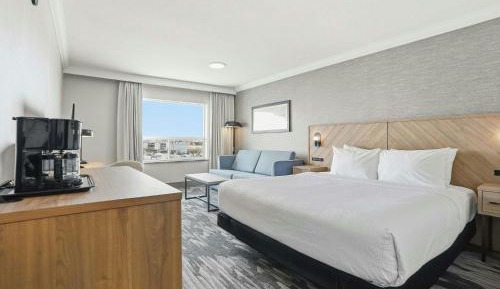 Standard Room, 1 King Bed, Sofa Bed
