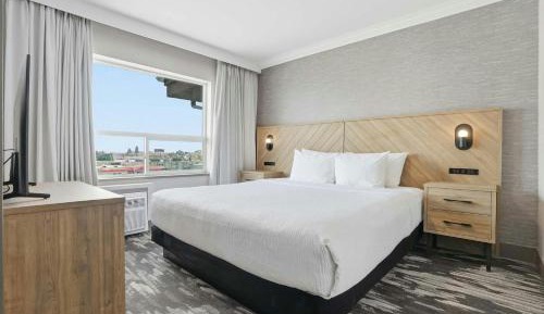 Grand Suite, 1 King Bed, Sofa Bed, Kitchenette