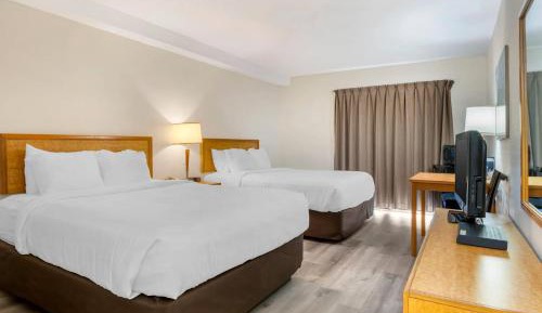 Standard Queen Room with Two Queen Beds - Non-Smoking