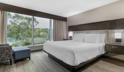King Suite with Sofa Bed - Non-Smoking