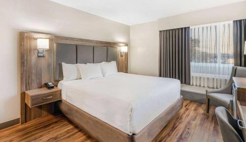 Standard King  Room with Street View