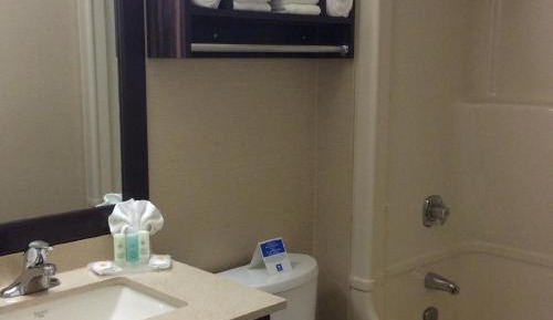Queen Room - Ground Floor - Pet-Friendly