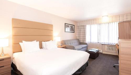 Standard Room, 1 King Bed, Sofa Bed