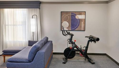 King Room with Exercise Equipment and Sofa Bed