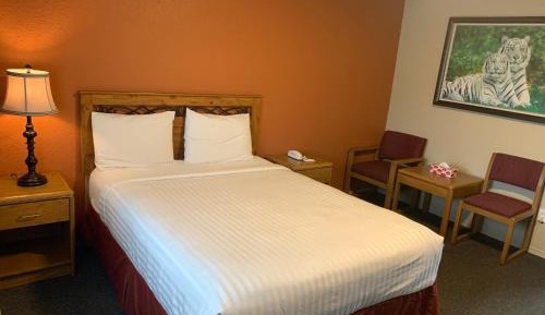 Queen Room