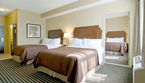 Queen Suite with Three Queen Beds