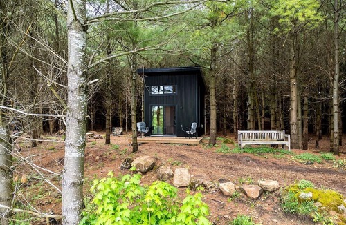 Desboro House | Cozy Getaways in Canada, in this Charming Tiny House with Fire Pit in Ontario