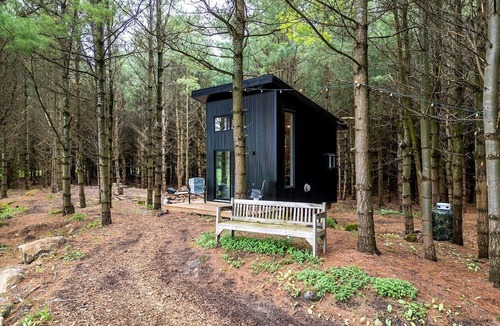Desboro House | Cozy Getaways in Canada, in this Charming Tiny House with Fire Pit in Ontario