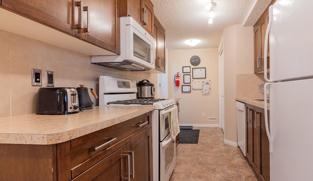 Full Private 1 Bed Basement Suite in SE Walden neighbourhood