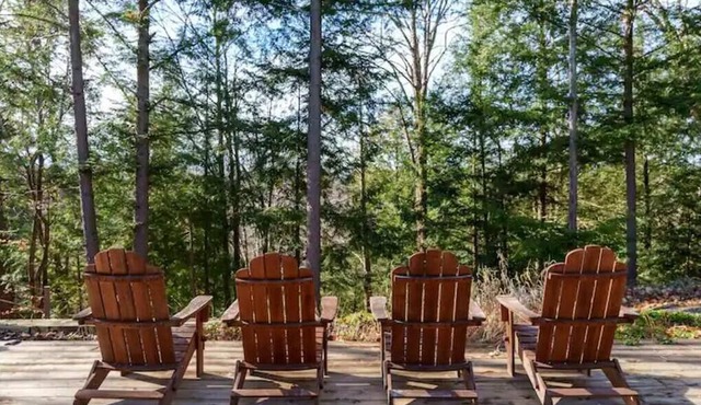 Modern x Muskoka: Contemporary Waterfront Oasis