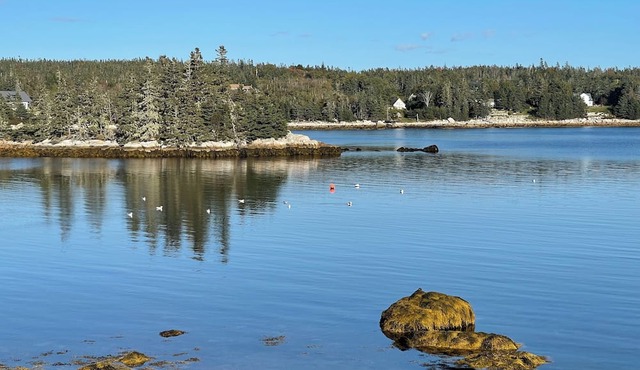 Charming historic oceanfront 2-bedroom cottage in beautiful Indian Harbour.