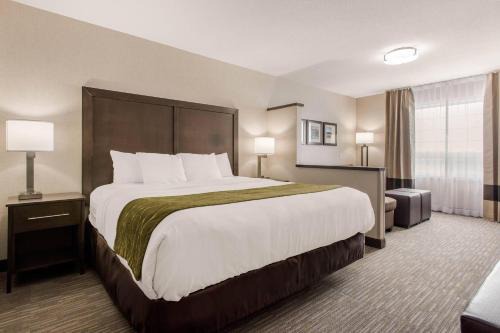 Comfort Inn Suites Red Deer 
