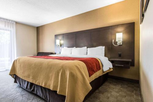 Comfort Inn Owen 